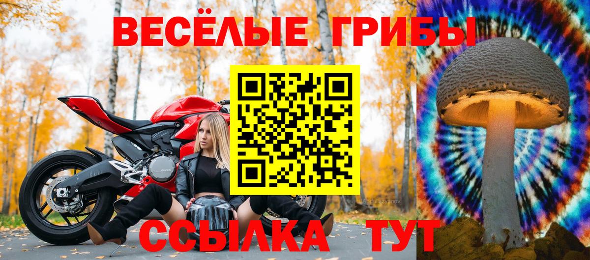 Псилоцибиновые грибы мухоморы Березники